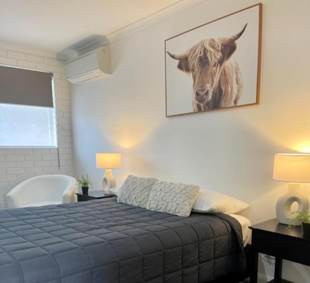 Estelle Kramer Motel Armidale Εξωτερικό φωτογραφία